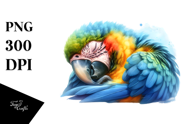 Macaw Clipart Image 20