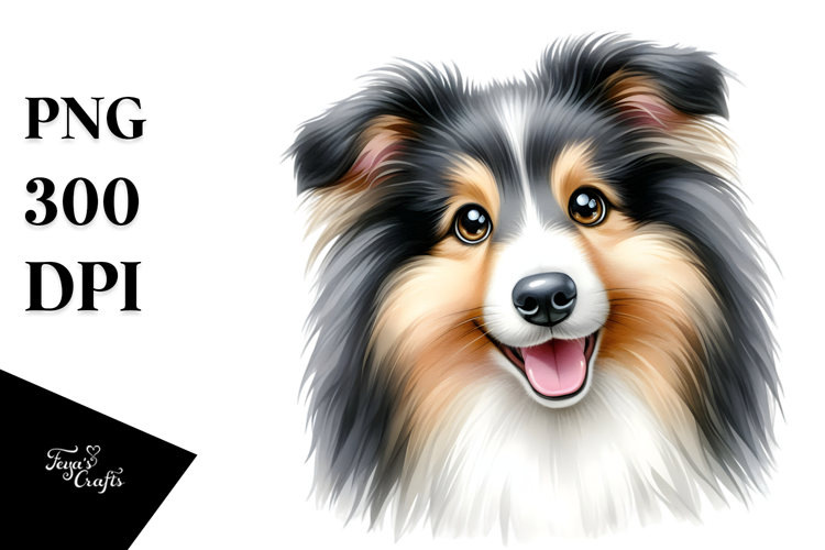 Cute Collie, Watercolor PNG