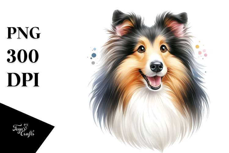 Cute Collie, Watercolor PNG