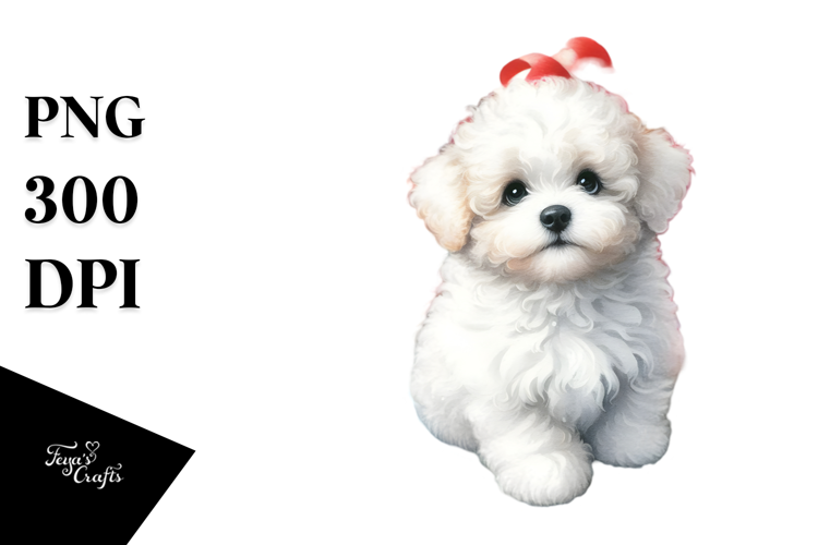 Cute Miniature Schnauzer with Christmas Gifts, Transparent