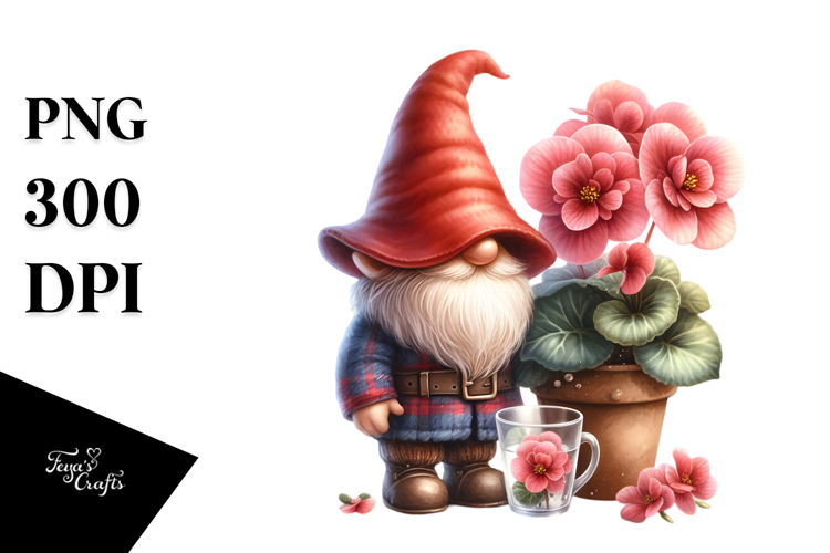 Cute Gnome with Begonia in PNG