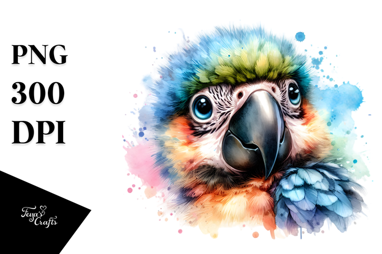 Macaw Clipart Image 3