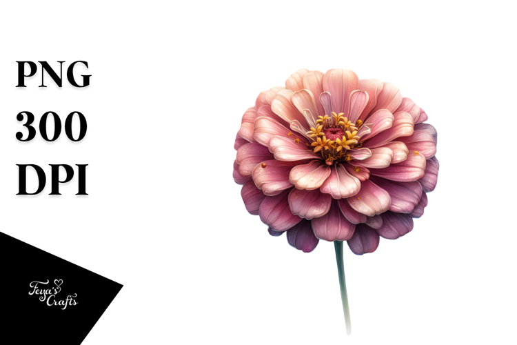 Zinnia with Gold PNG