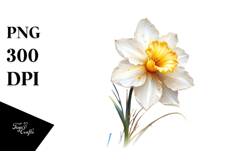 Daffodil Clipart Image 9