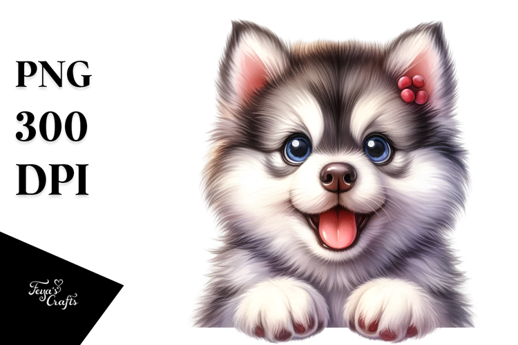 Husky Png Image 23