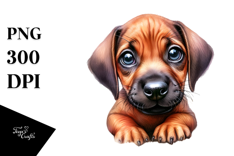 Happy Baby Rhodesian Ridgeback, Transparent PNG