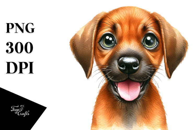 Happy Baby Rhodesian Ridgeback, Transparent PNG example image 1