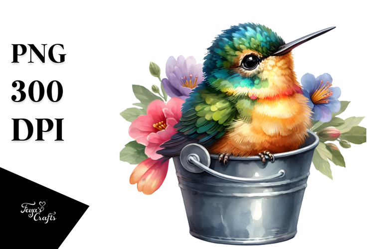 Baby Hummingbird in a Bucket | Clipart