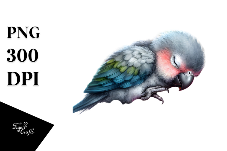 Parrot Png