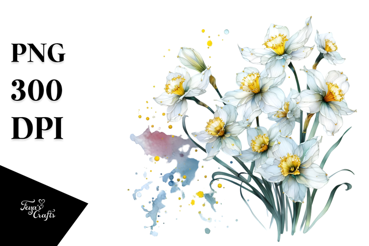 Narcissus Watercolor PNG