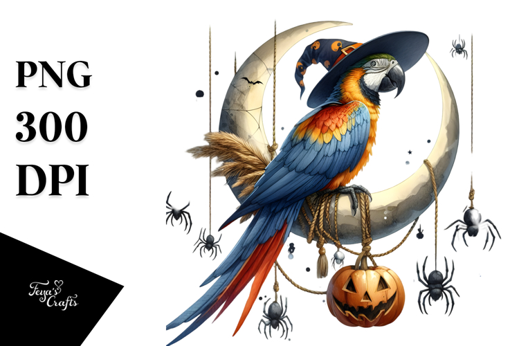 Macaw Clipart Image 13