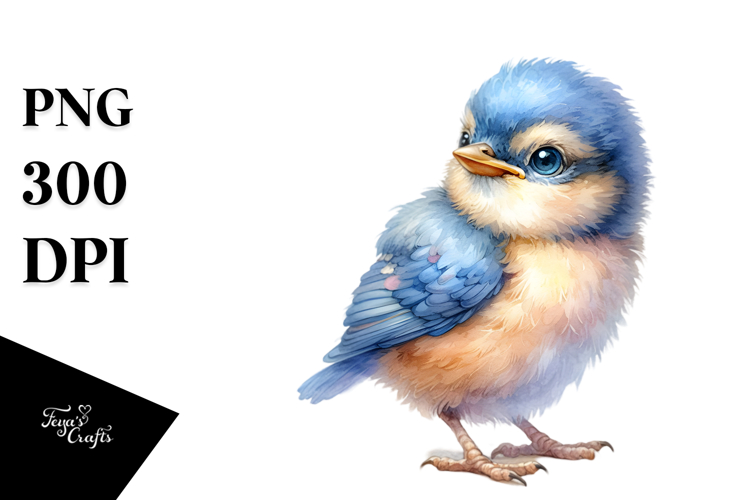 Bird PNG Image 6