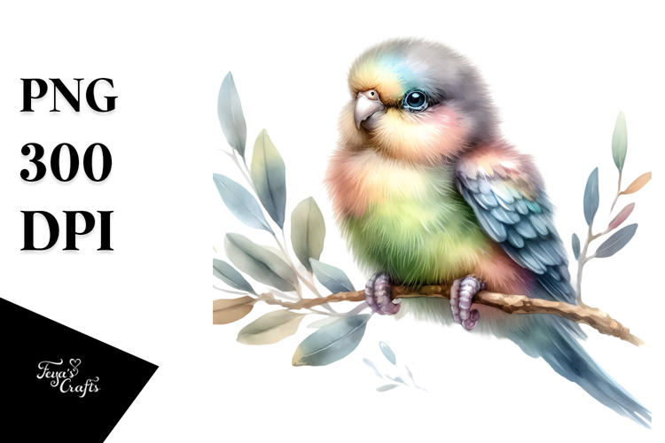 Digital Watercolor Baby Parrot PNG