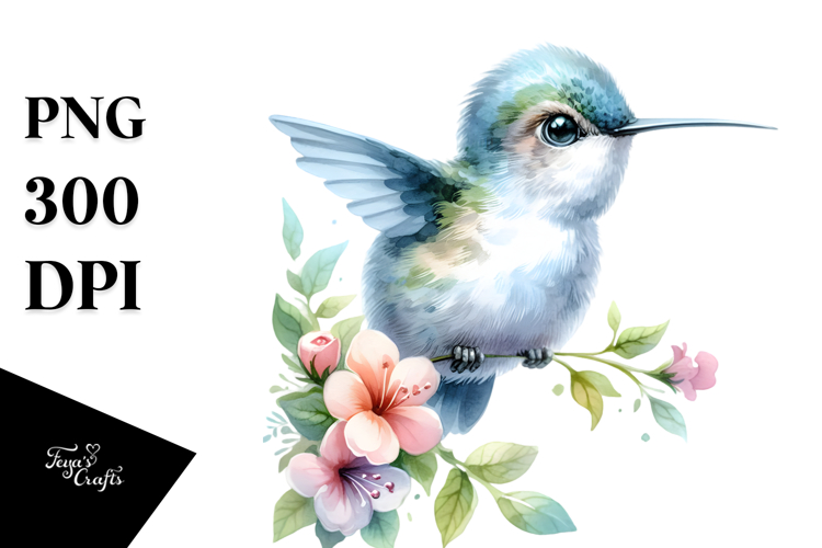 Hummingbird Png Image 12