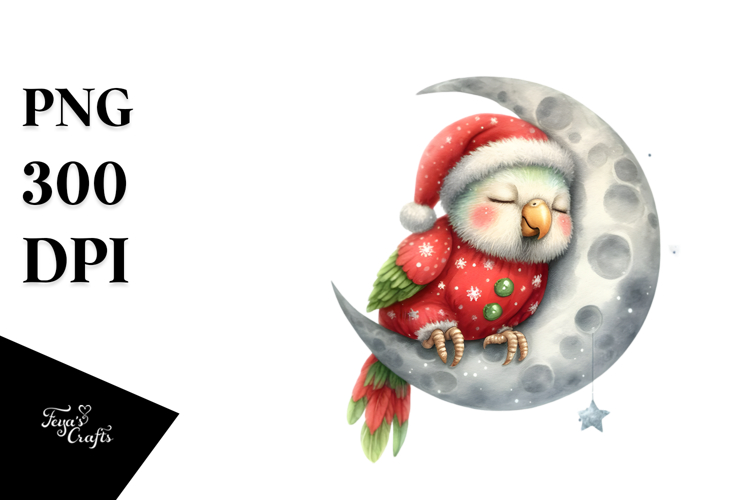 Baby Parrot Moon Christmas example image 1