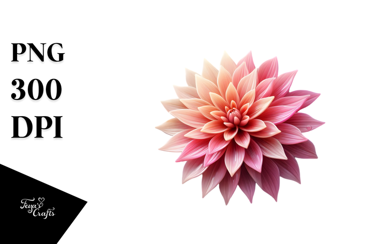 Dahlia, Watercolor PNG