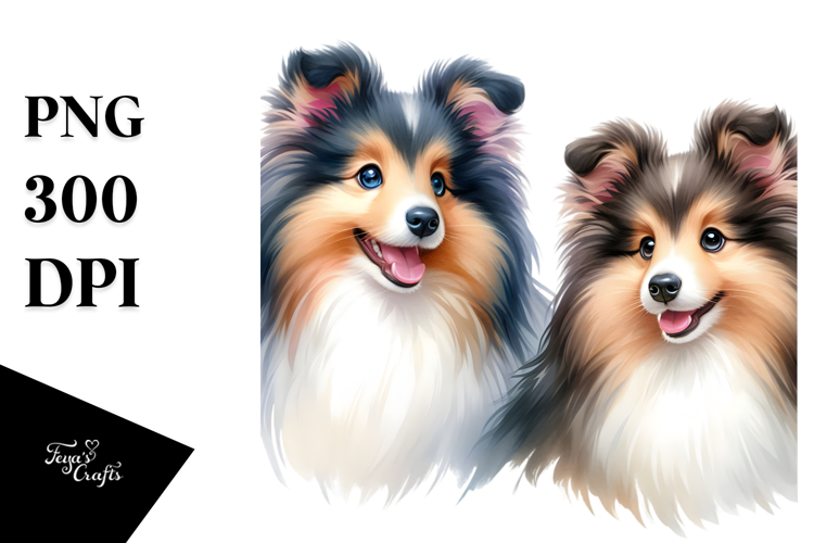 Cute Shetland Sheepdog, PNG