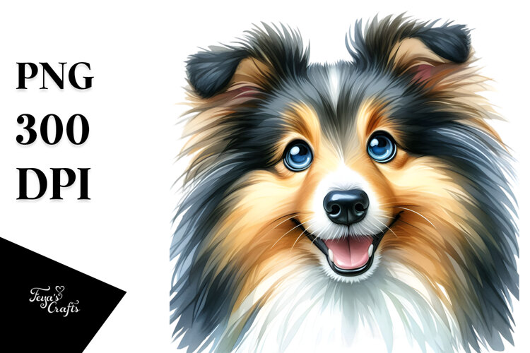 Cute Shetland Sheepdog, PNG example image 1