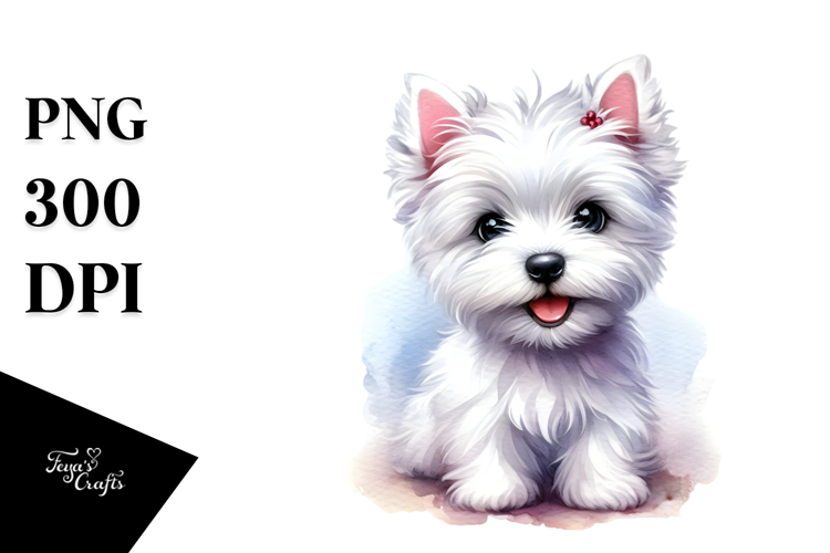 Cute West Highland White Terrier, PNG