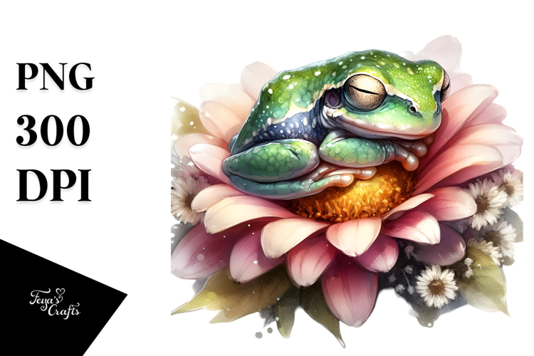 Baby Frog Sleeping, PNG