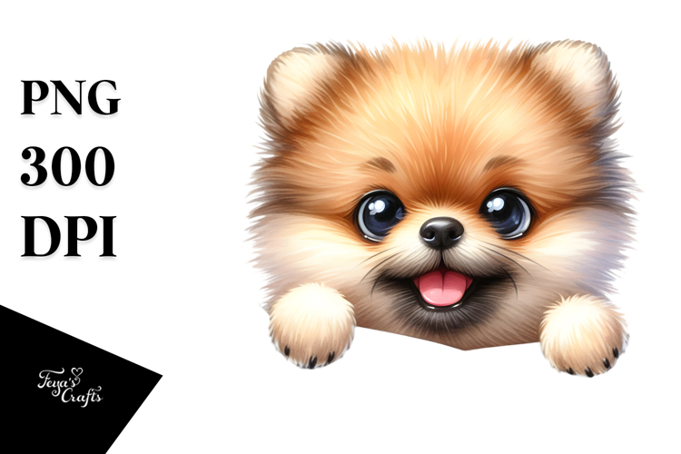 Pomeranian Clipart Image 2