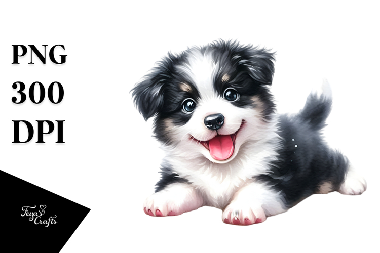 Expressive Baby Border Collie PNG