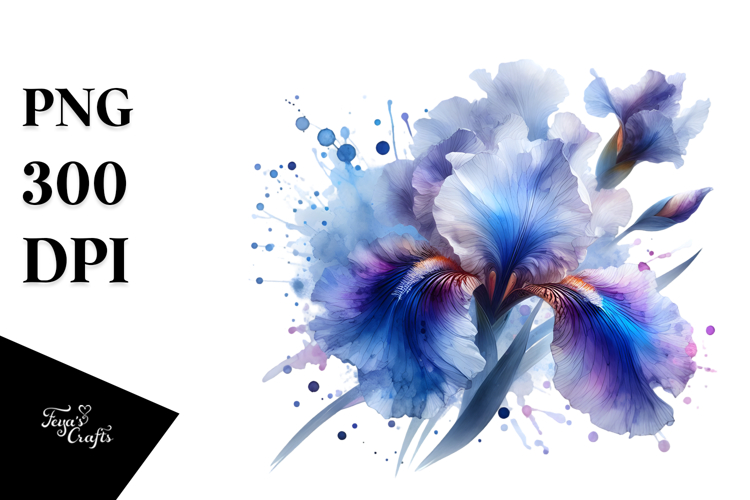 Iris Clipart Image 5
