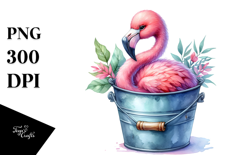 Baby Flamingo Bucket Water Pink Clipart