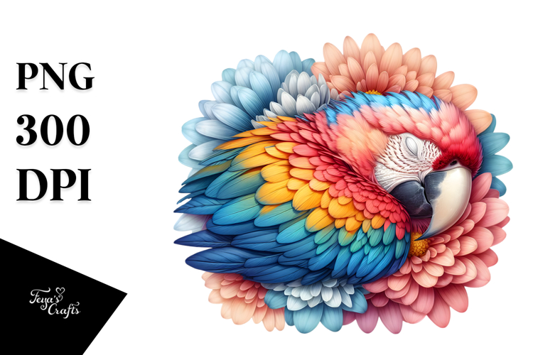 Macaw Clipart Image 9