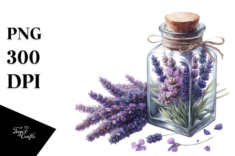 Lavender Flower Png Image 15