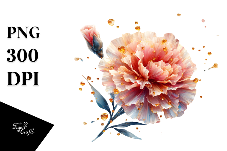 Carnation PNG