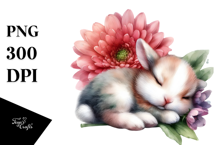 Rabbit Png Image 2