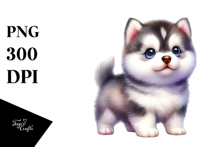Expressive Siberian Husky