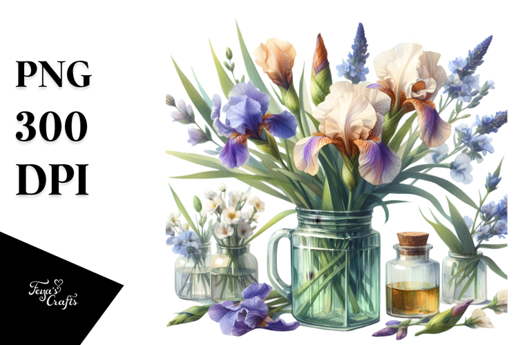 Iris Clipart Image 19