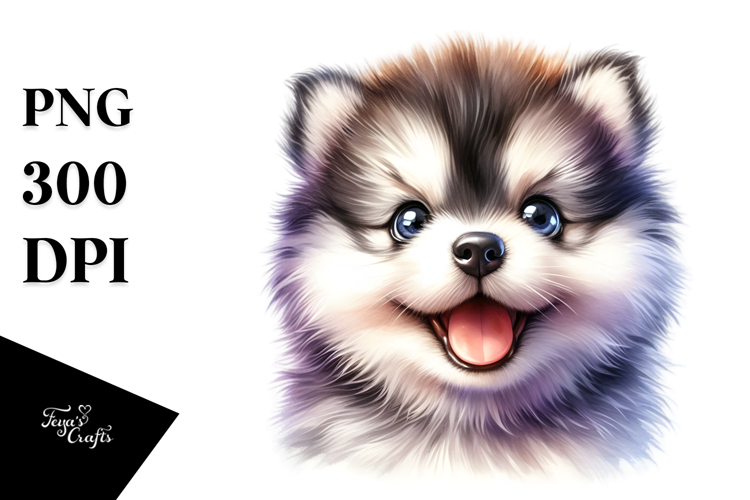 Baby Siberian Husky, Transparent PNG example image 1
