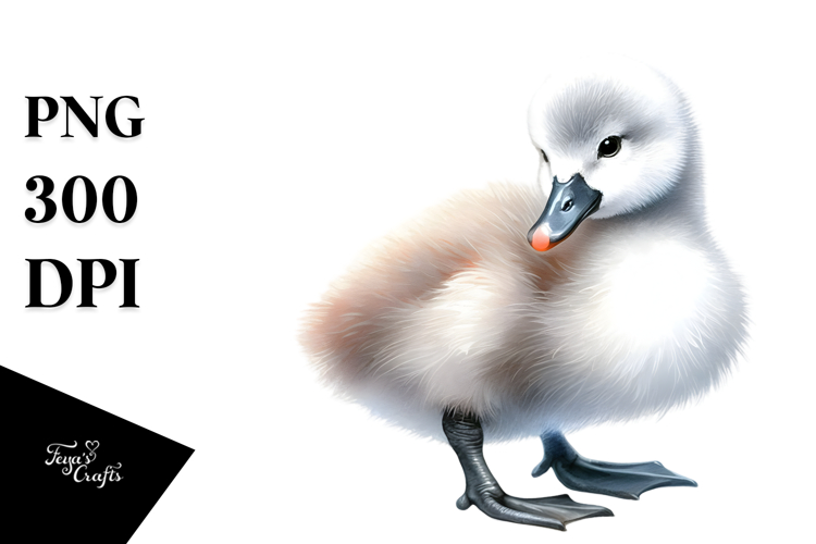 Eyes Clipart Image 3