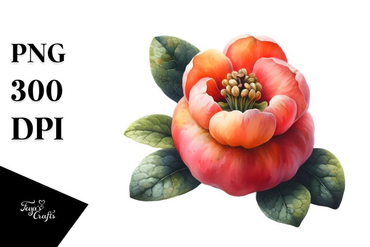 Summer Clipart Image 13