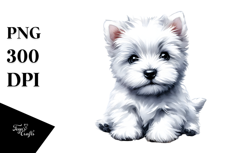 Expressive Havanese PNG