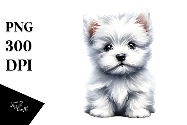 Expressive West Highland White Terrier PNG example image 1