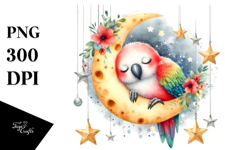 Parrot Png Image 23