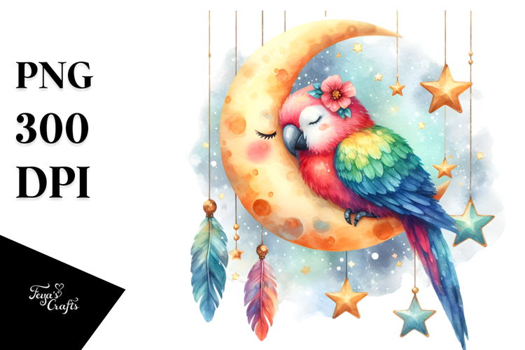 Parrot Png Image 22