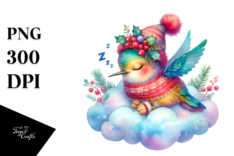 Vibrant Boho Baby Hummingbird Sleeping | Sublimation |