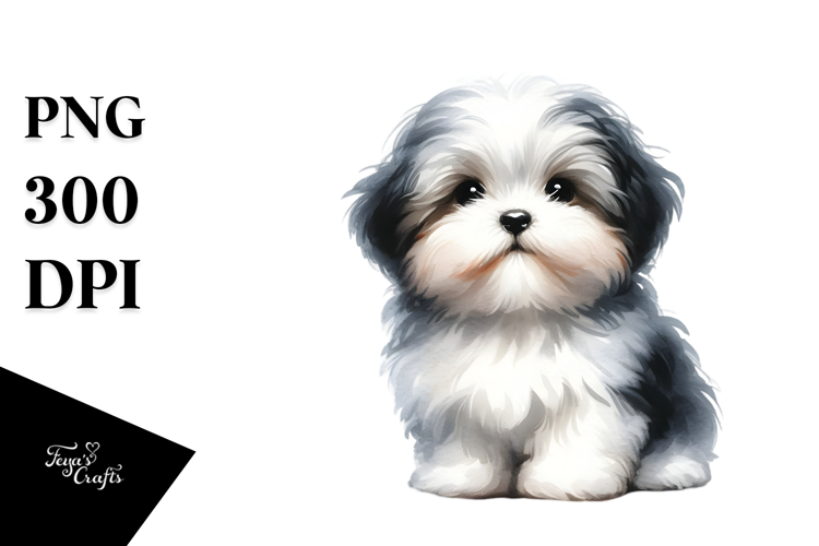 Expressive Havanese PNG