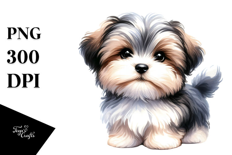 Expressive Havanese PNG