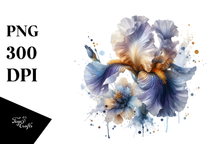 Iris Clipart Image 3
