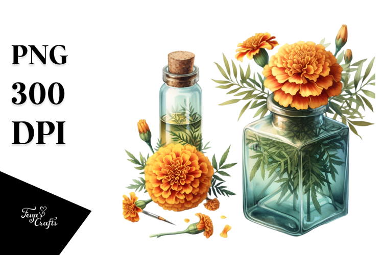 Marigold Clipart Image 3