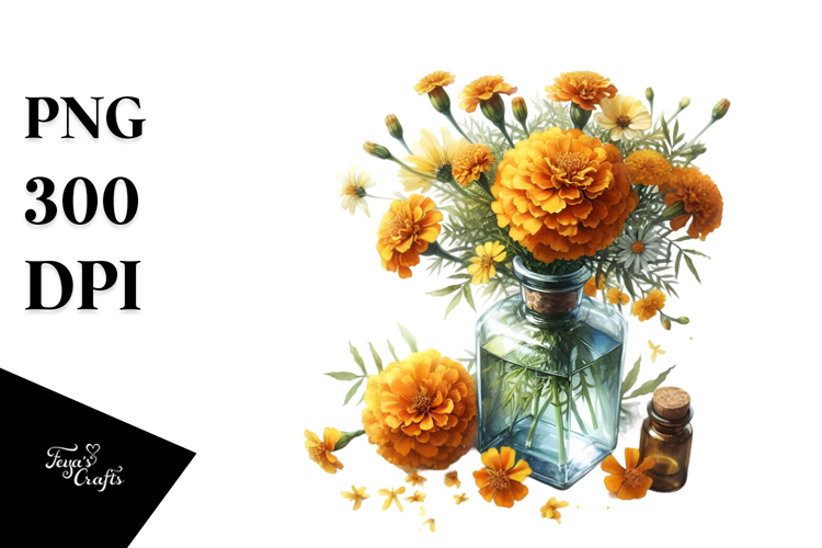 Marigold Clipart Image 2
