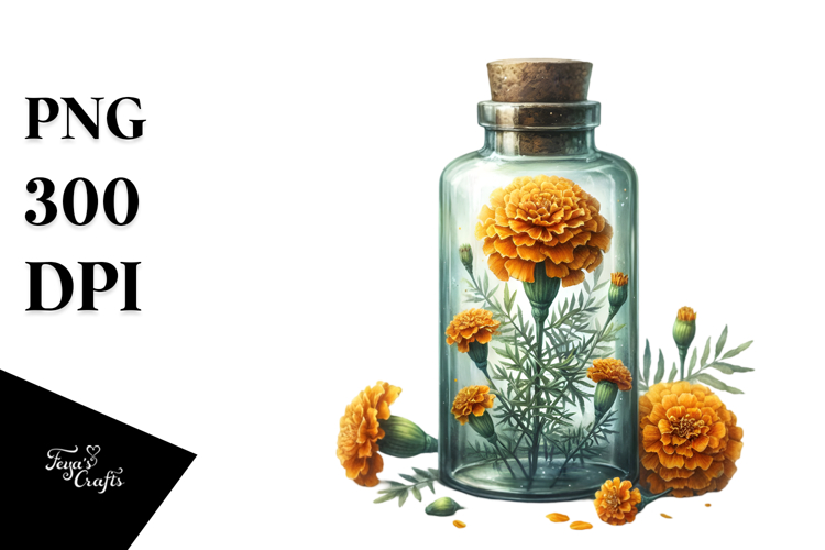 Marigold Clipart