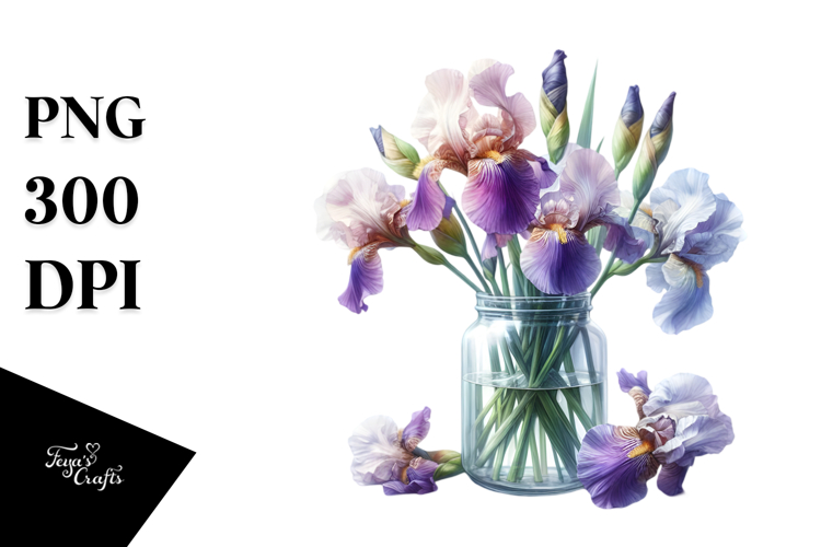 Iris Clipart Image 14