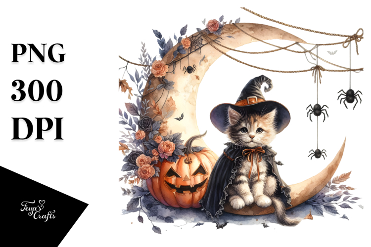 Kitten Png